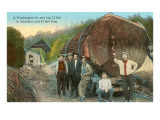 Fir Log, Lumberjacks, Washington Giclee Print