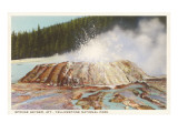 Sponge Geyser, Yellowstone National Park Giclee Print