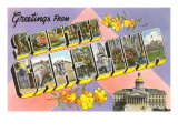 Greetings from South Carolina Posters