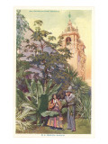 Tropical Garden in Balboa Park, San Diego, California Posters