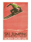 Ski Jumping Poster Poster