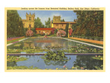 Lily Pond, Balboa Park, San Diego, California Prints