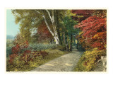 Couleur d'automne dans le Vermont Posters