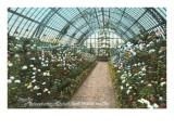 Conservatory, Mitchell Park, Milwaukee, Wisconsin Giclee Print