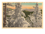 Winter in the Great Smoky Mountains Affiches