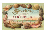 Souvenir from Newport, Rhode Island Prints
