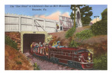 Zoo Choo, Mill Mountain, Roanoke, Virginia Posters