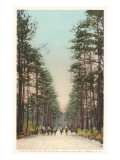 Horses on Camden Heights, Camden, South Carolina Giclee Print