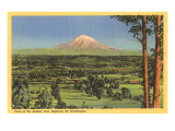 Mt. Rainier, Washington Prints