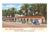 Date Gardens, Indio, California Posters