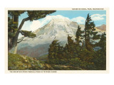 Mt. Rainier, Washington Prints
