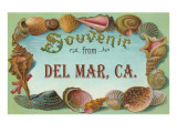 Sea Shells, Souvenir from Del Mar, California Giclee Print