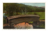 Humpback Bridge, Covington, Virginia Posters