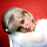 Sue Lyon Photo
