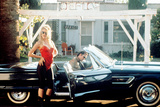 Wild at Heart Photo
