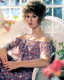 Lee Purcell Photo