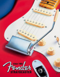Fender - Strat since 1954 Plaque en métal