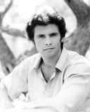 Lorenzo Lamas - Falcon Crest Photographie