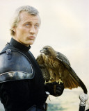 Rutger Hauer - Ladyhawke Photo