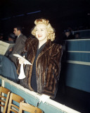 Betty Grable Photographie