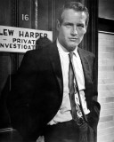 Paul Newman - Harper Photo Paul Newman - Harper Photo