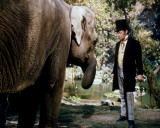 Rex Harrison - Doctor Dolittle Photographie