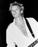 Sting Foto