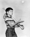 Paul Petersen - The Donna Reed Show Photo