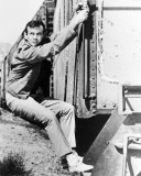David Janssen - The Fugitive Photographie