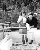 Peyton Place Photo