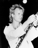 Sting Photo