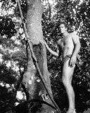 Ron Ely - Tarzan Foto