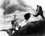King Kong vs. Godzilla Photo