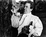 Albert Finney - Tom Jones Fotografía