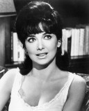 Suzanne Pleshette Photo