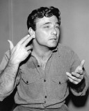 Peter Falk Photo