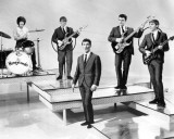 The Honeycombs Photo