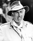 Stewart Granger - The Last Safari Foto