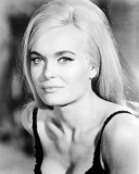 Shirley Eaton Photo