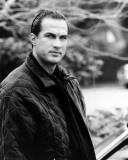 Steven Seagal Photo