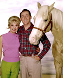 Mr. Ed Photo
