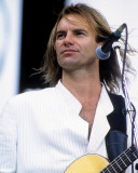 Sting Photo