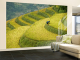 Black H'Mong Woman in Rice Field Terraces Near Tafen Village Wall Mural – Large by Diana Mayfield