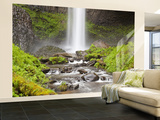 Latourell Falls, Columbia River Gorge, Oregon, USA Wall Mural – Large by Jamie & Judy Wild
