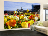 Tulips on Pier 39 with Coit Tower in the Background. Wall Mural – Large by Christina Lease