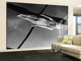 Swimmer Jeanne Wilson Underwater Wall Mural – Large by Wallace Kirkland