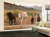 Wild Horses Wall Mural – Large by John Sones