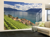 Switzerland, Vaud, Lavaux Vineyards, St; Saphorin Village and Lac Leman / Lake Geneva Fototapete – groß von Michele Falzone