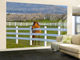Horse Poses By Flathead Cherry Orchard Near Polson, Montana, USA Wall Mural – Large by Chuck Haney