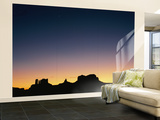 Sunset Silhouetting the Desert Landscape Wall Mural – Large by Rich Reid